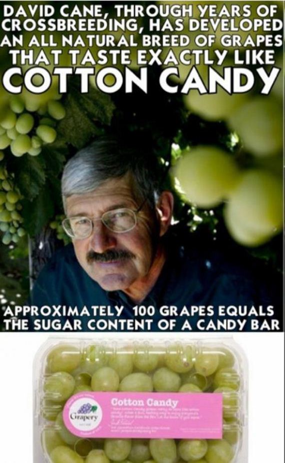 funny-pictures-524