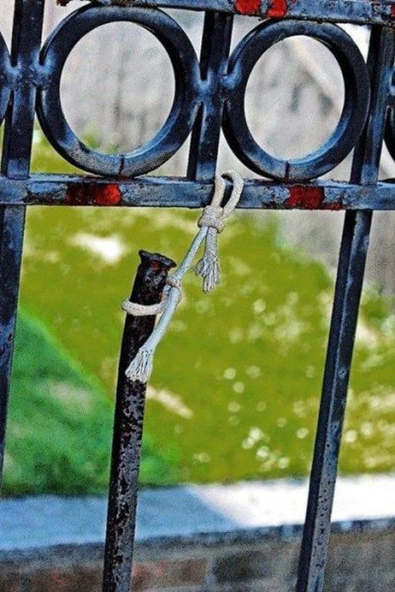 funny-pictures-524