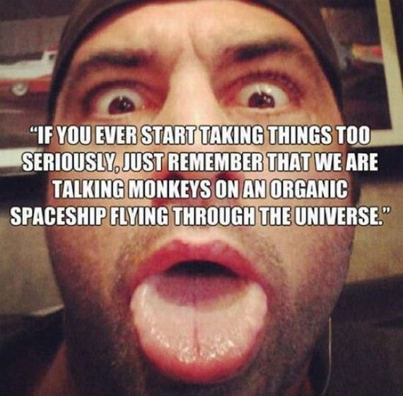 funny-pictures-525