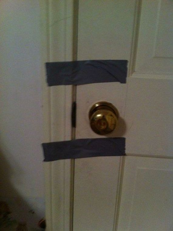 funny-pictures-525