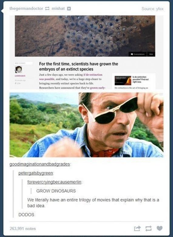 funny-pictures-525