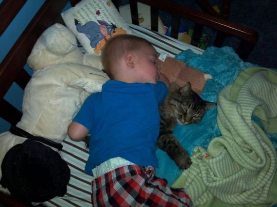 funny-pictures-526