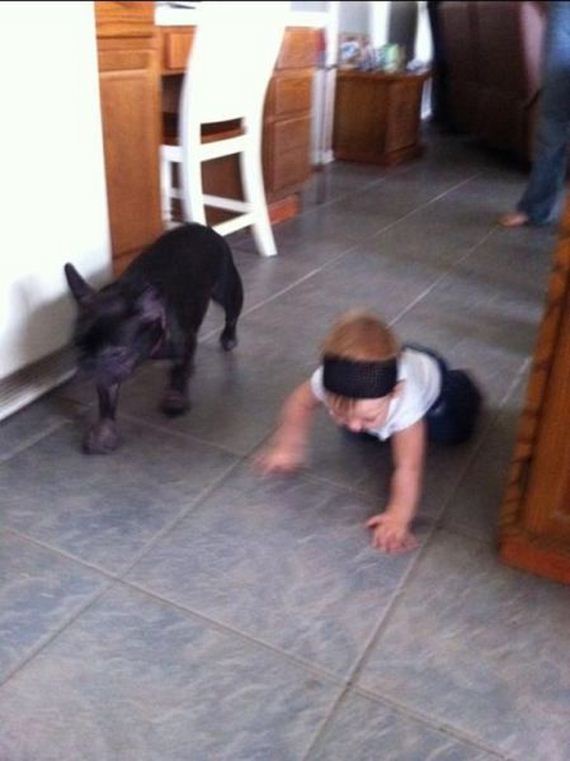funny-pictures-526