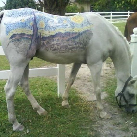funny-pictures-526