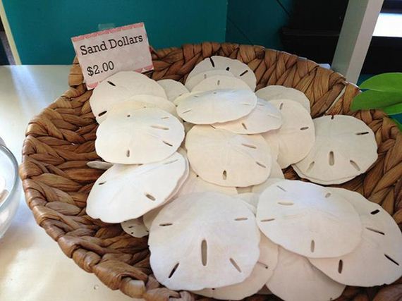 funny-pictures-526