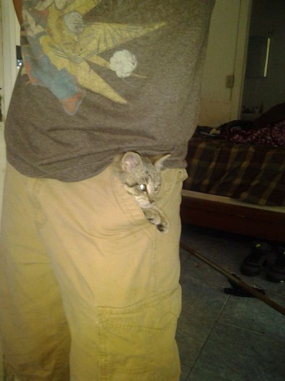 funny-pictures-527