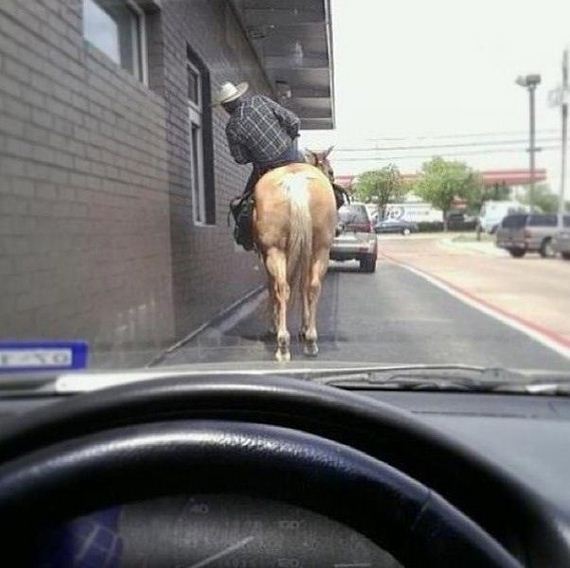 funny-pictures-527