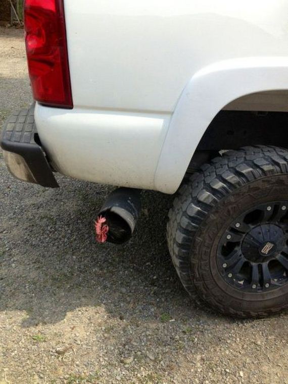funny-pictures-527