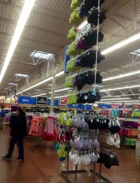 funny-pictures-527