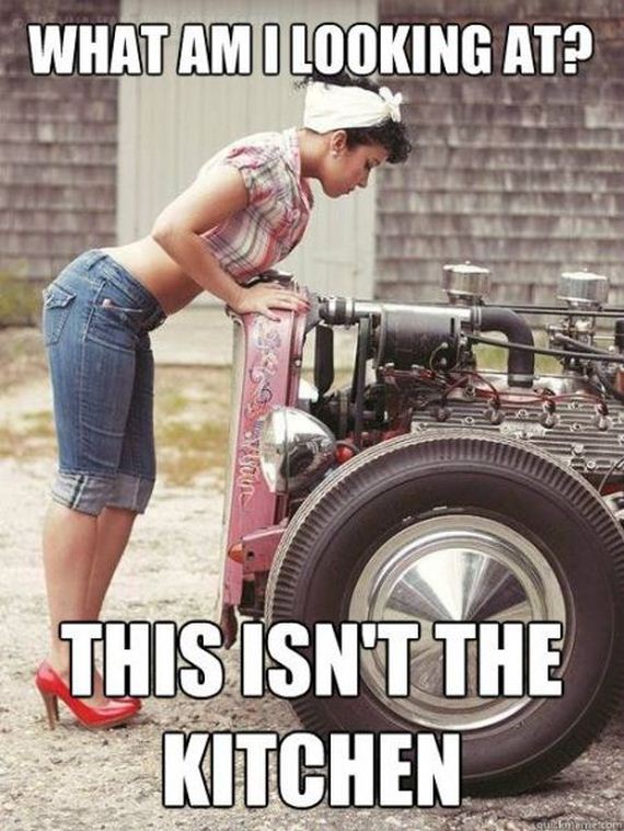 funny-pictures-530