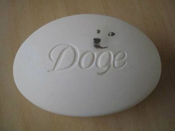 funny-pictures-530