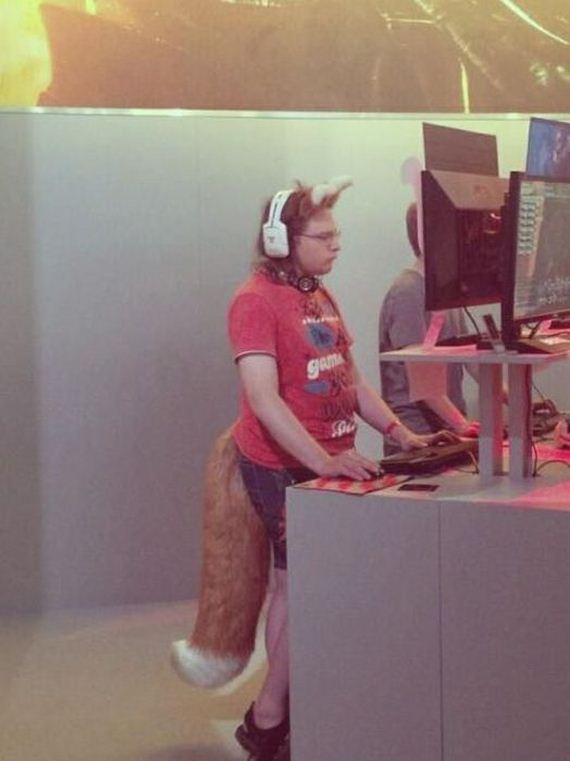 funny-pictures-530