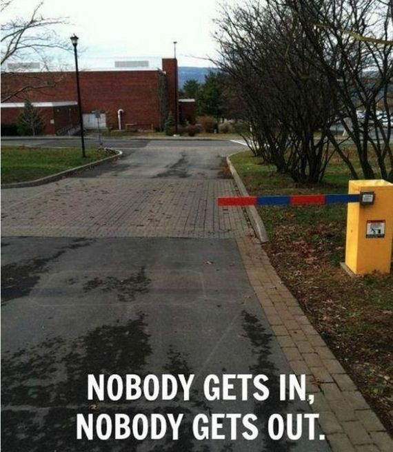 funny-pictures-530