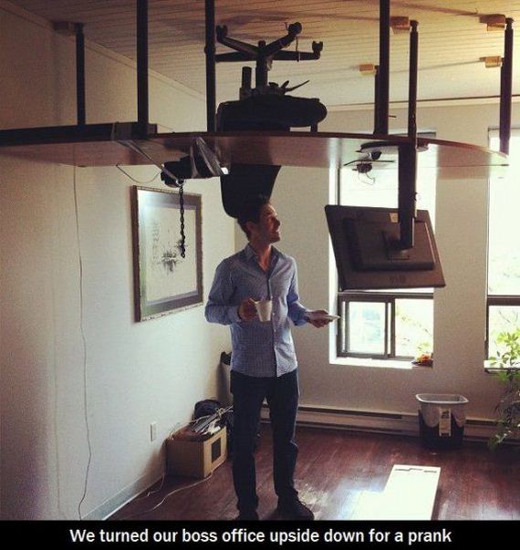 funny-pictures-530