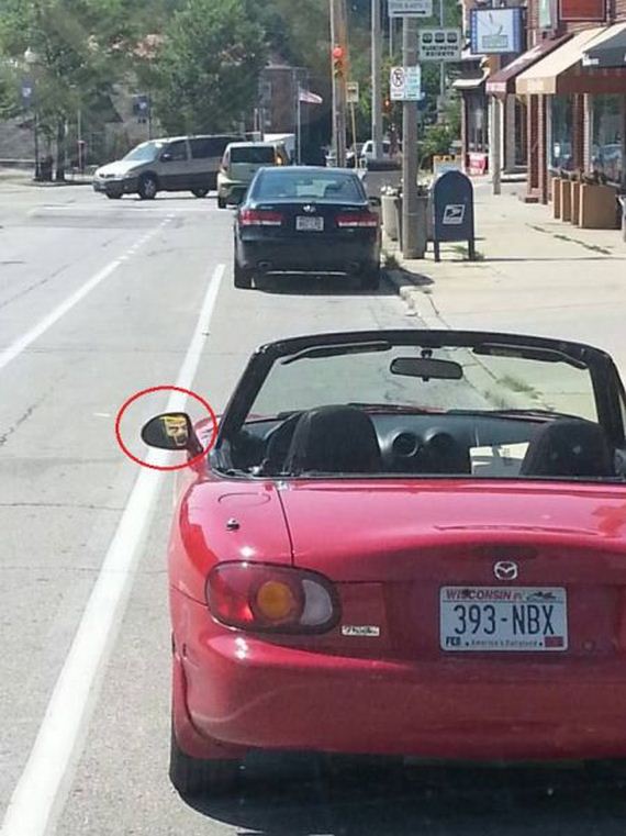 funny-pictures-531