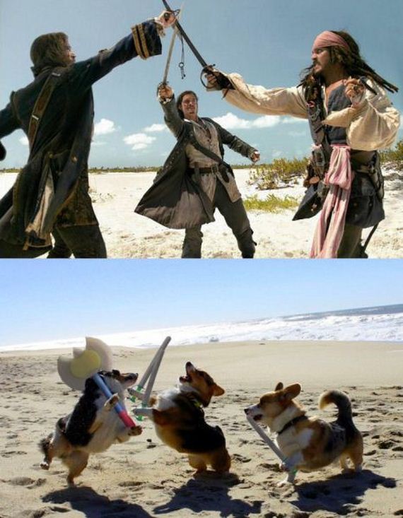 funny-pictures-531