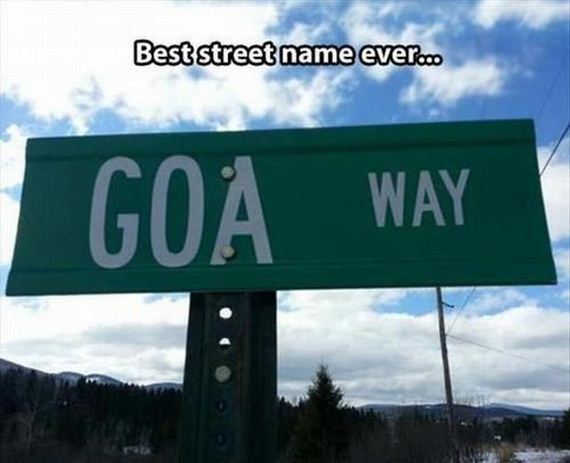 funny-pictures-531