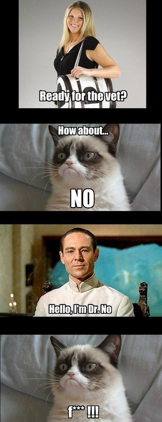 funny-pictures-531