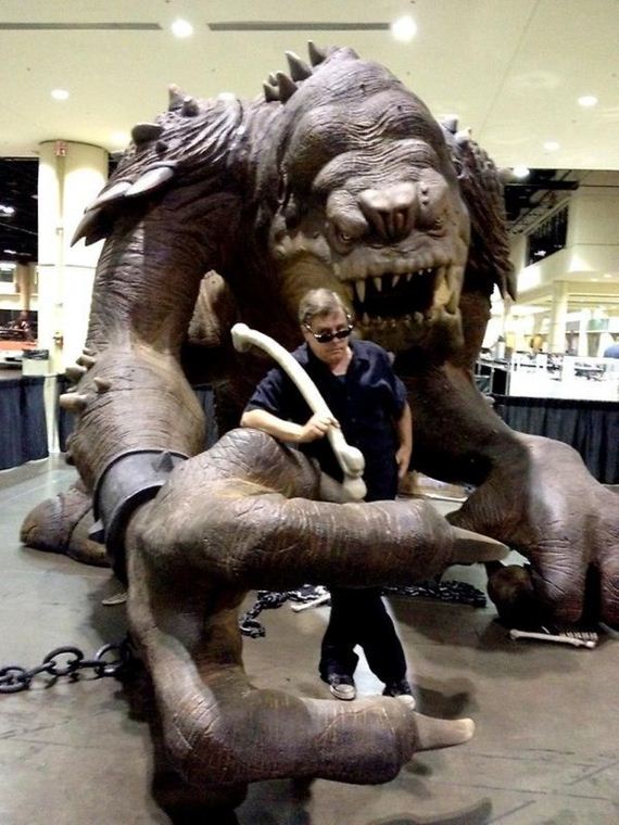 funny-pictures-531
