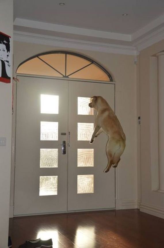 funny-pictures-532