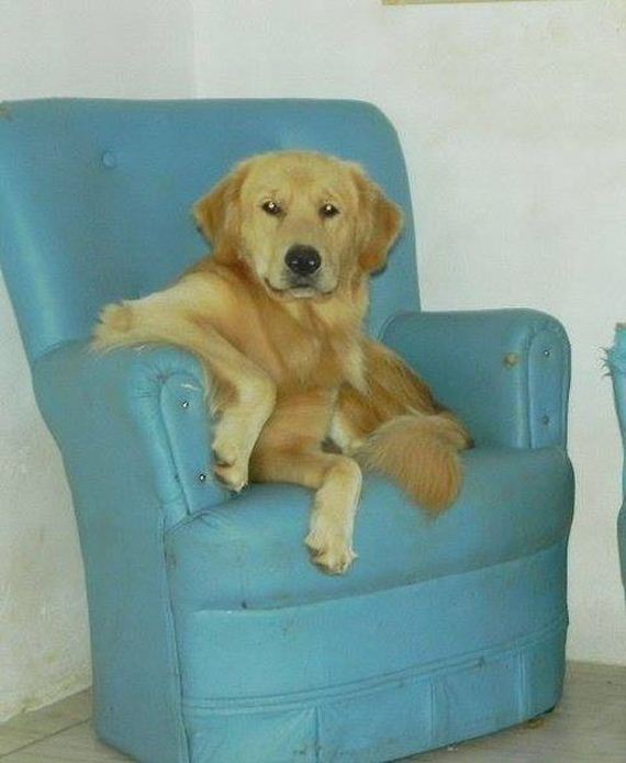 funny-pictures-532
