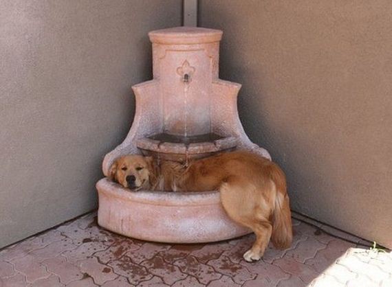 funny-pictures-532