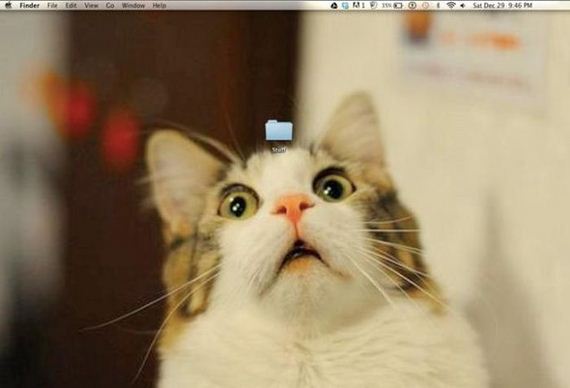 funny_and_clever_desktop_wallpapers