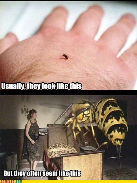 funny_commixed_pictures_10
