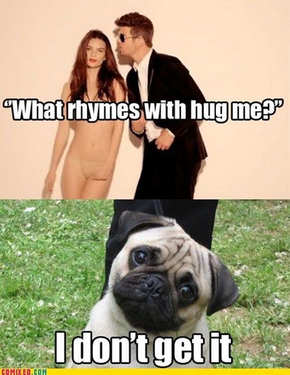 funny_commixed_pictures_10