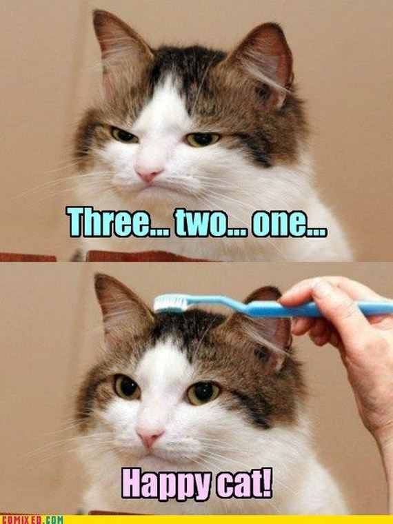 funny_commixed_pictures_10