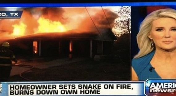 funny_news_3