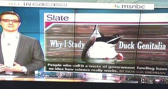 funny_news_3