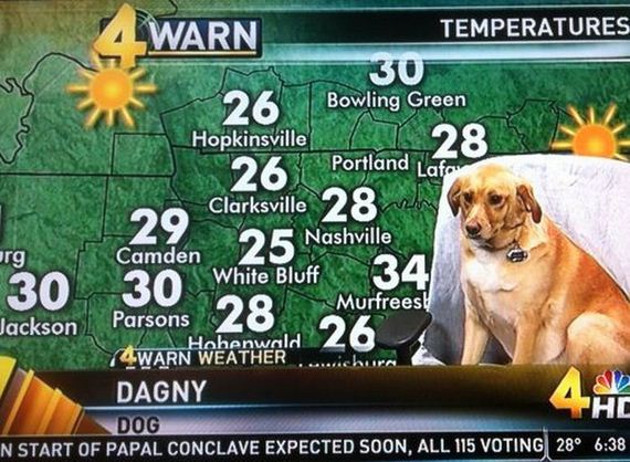 funny_news_3