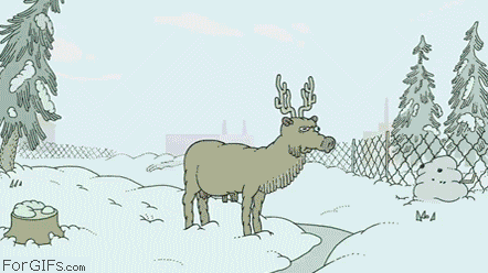 gifs-of-the-year
