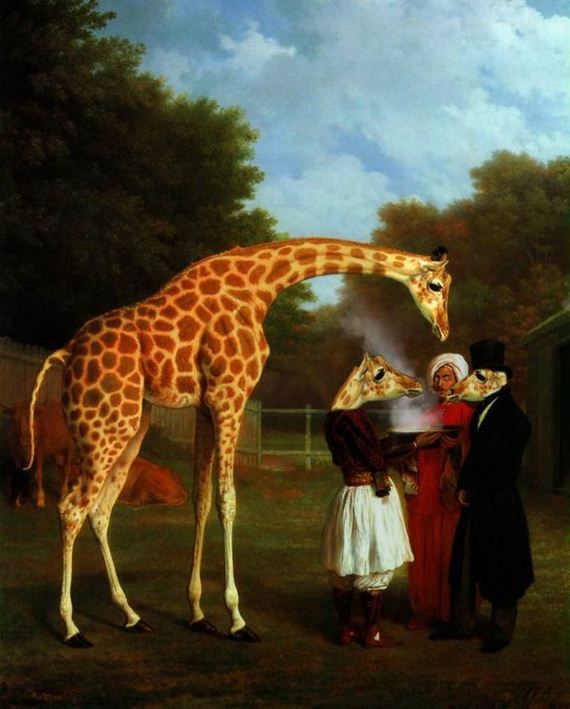 giraffe