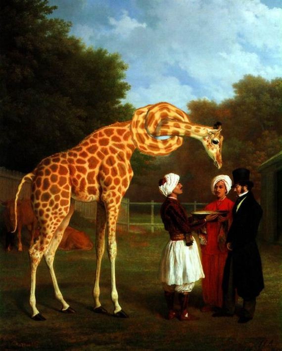 giraffe