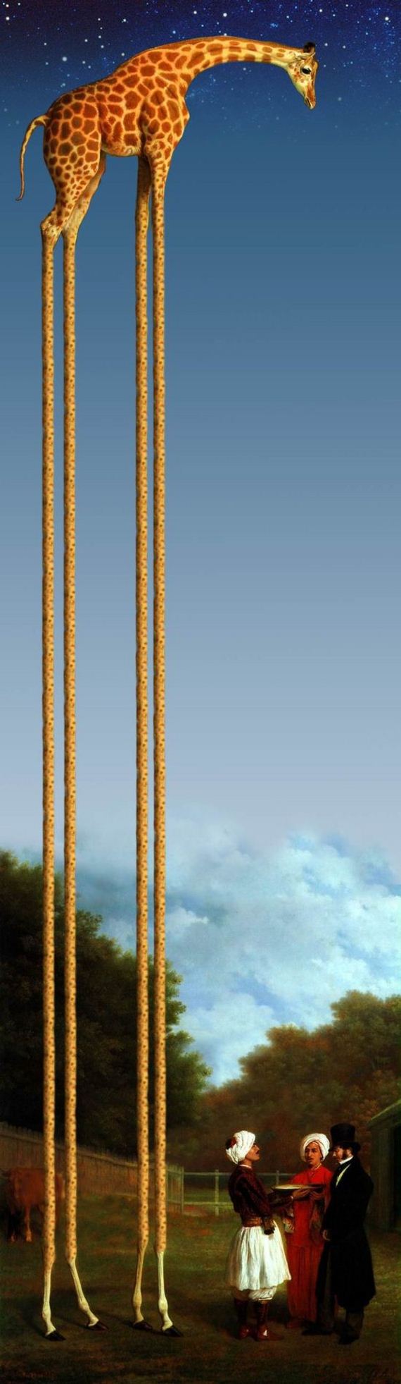 giraffe