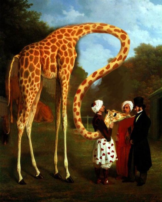 giraffe