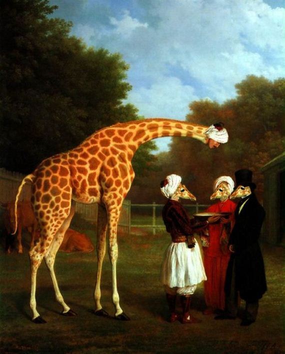 giraffe