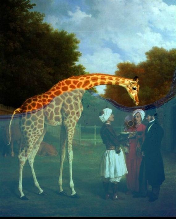 giraffe