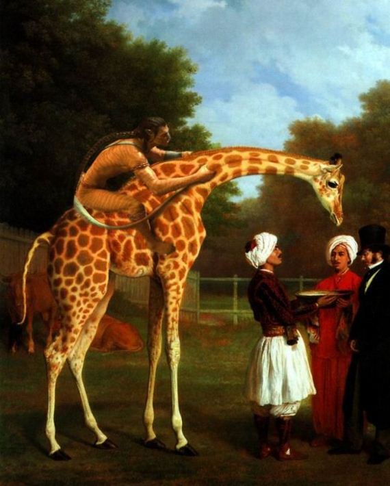 giraffe