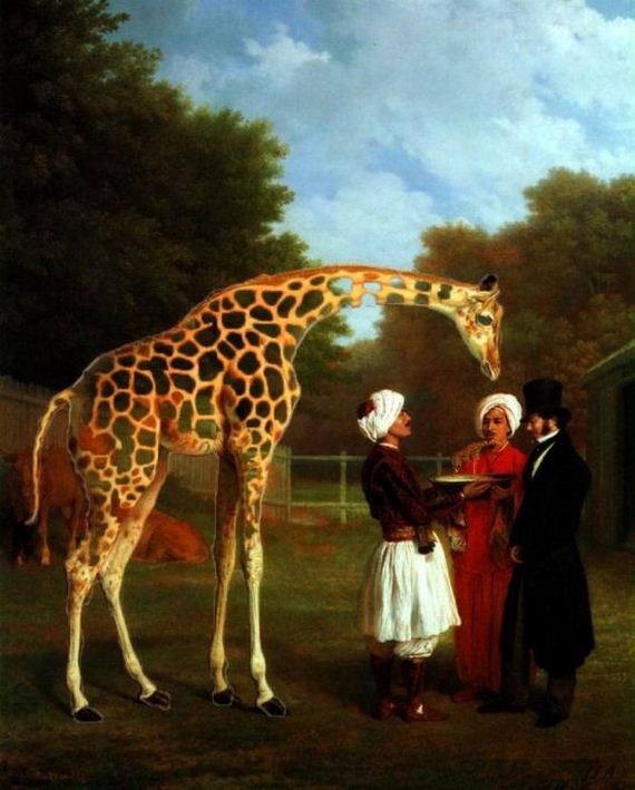 giraffe