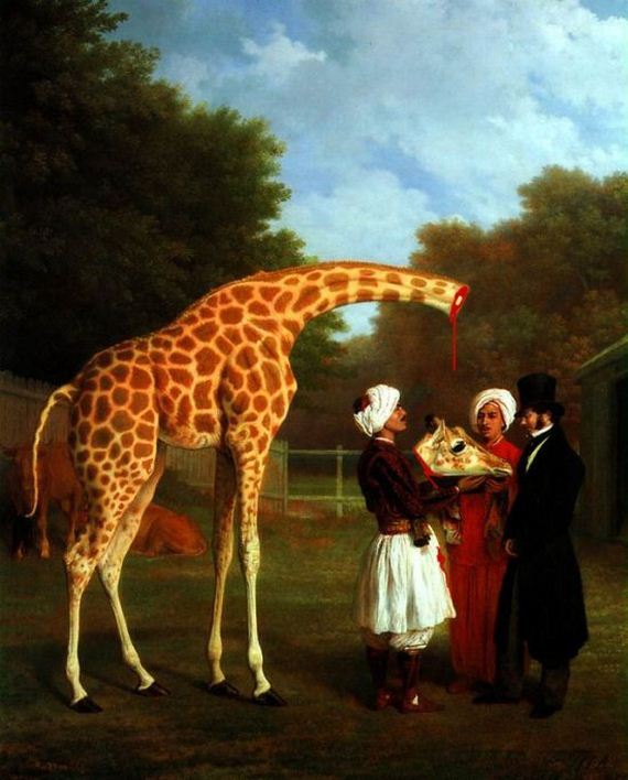 giraffe