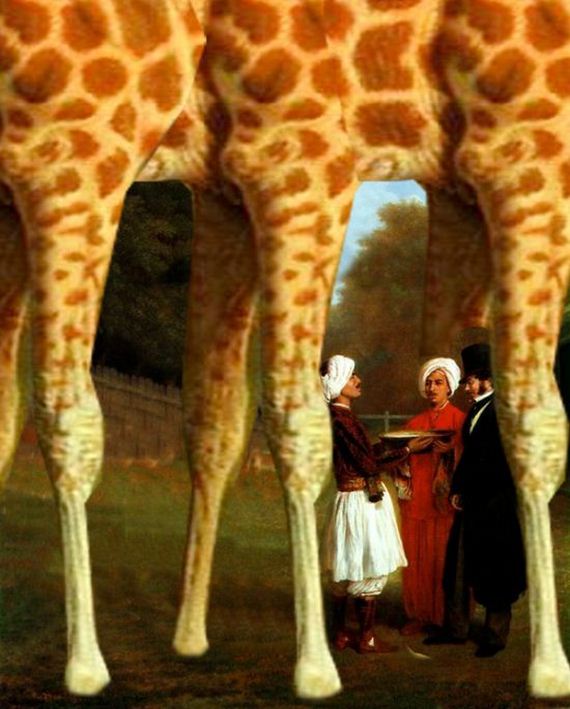 giraffe