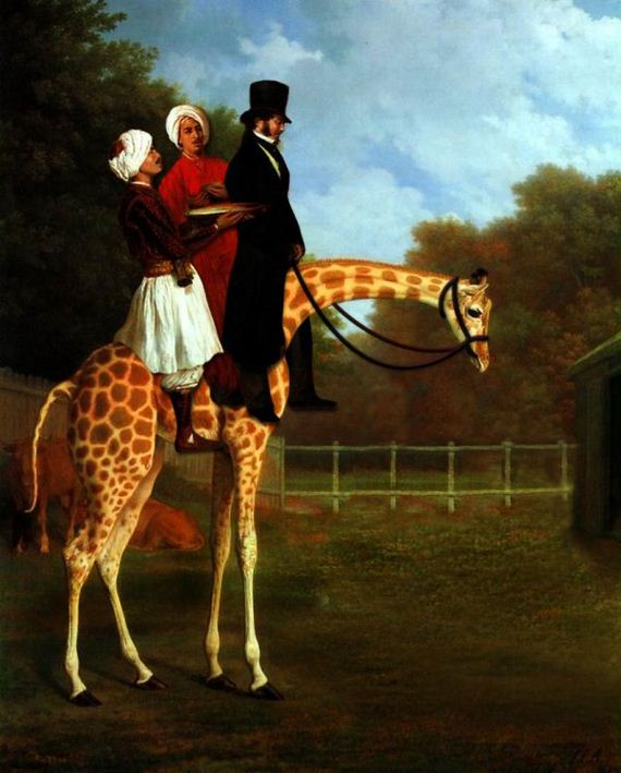 giraffe