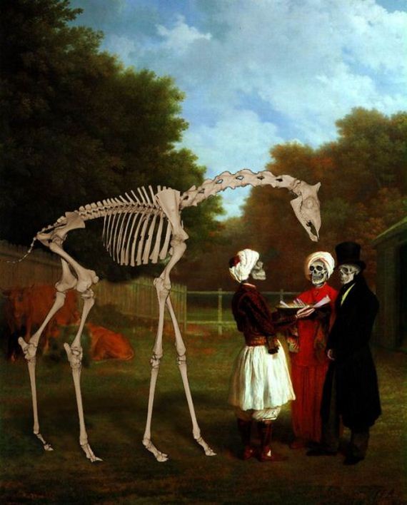 giraffe