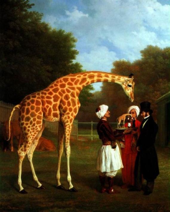 giraffe