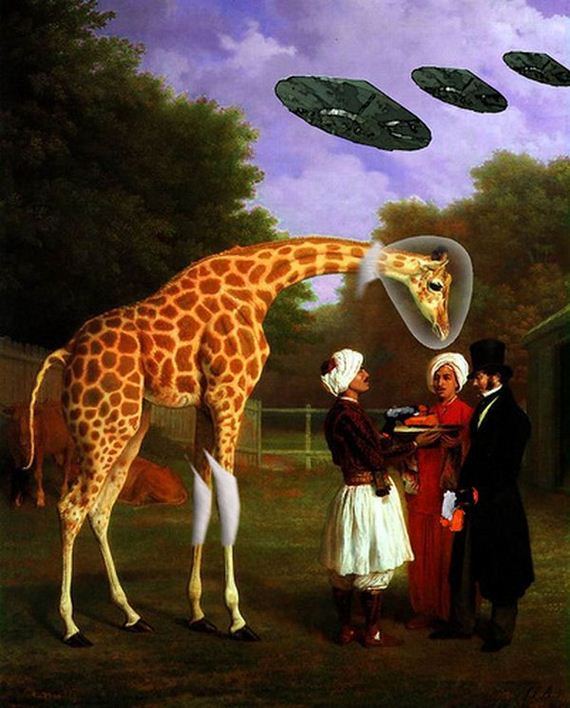 giraffe