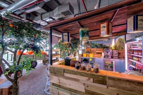 google_office