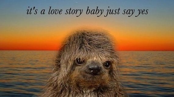 greatest-sloths-internet